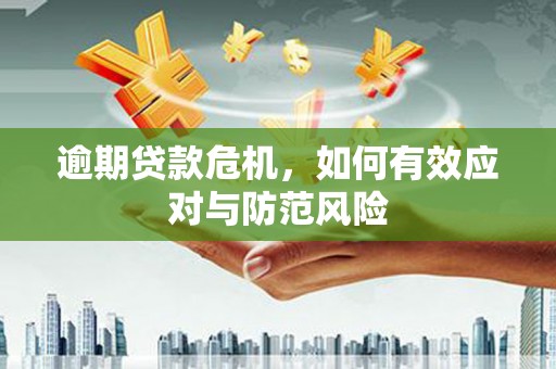 青神逾期贷款危机，如何有效应对与防范风险