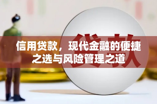 青神信用贷款，现代金融的便捷之选与风险管理之道