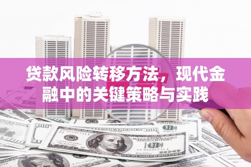 青神贷款风险转移方法，现代金融中的关键策略与实践
