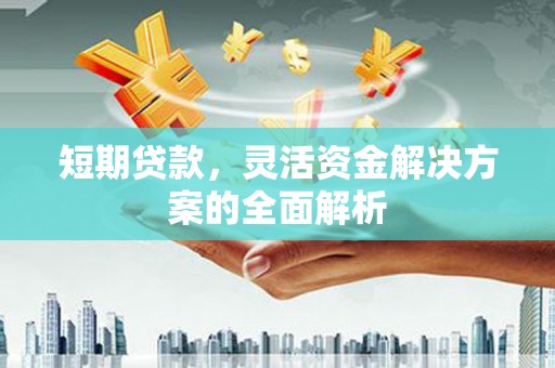 青神短期贷款，灵活资金解决方案的全面解析