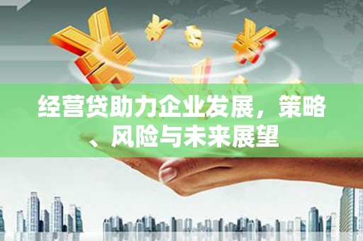 青神经营贷助力企业发展，策略、风险与未来展望
