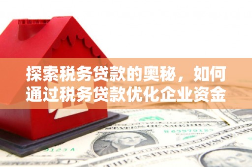青神探索税务贷款的奥秘，如何通过税务贷款优化企业资金流