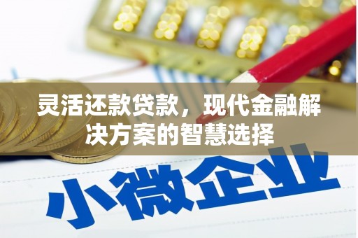 青神灵活还款贷款，现代金融解决方案的智慧选择