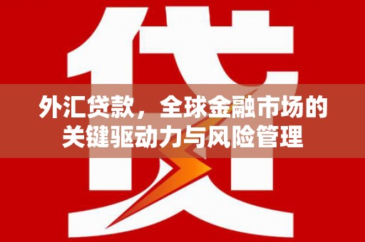 青神外汇贷款，全球金融市场的关键驱动力与风险管理