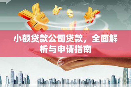 青神小额贷款公司贷款，全面解析与申请指南