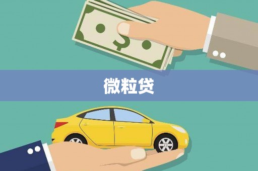 青神微粒贷
