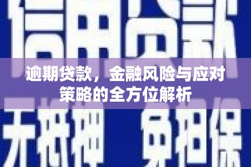 青神逾期贷款，金融风险与应对策略的全方位解析