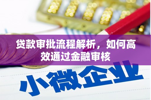 青神贷款审批流程解析，如何高效通过金融审核