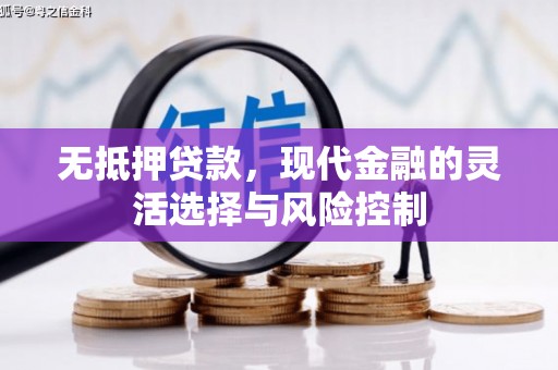 青神无抵押贷款，现代金融的灵活选择与风险控制