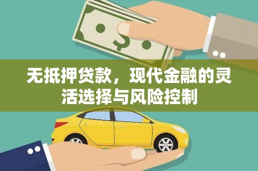 青神无抵押贷款，现代金融的灵活选择与风险控制