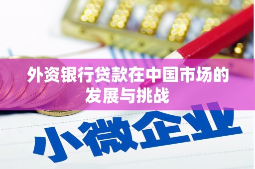 青神外资银行贷款在中国市场的发展与挑战