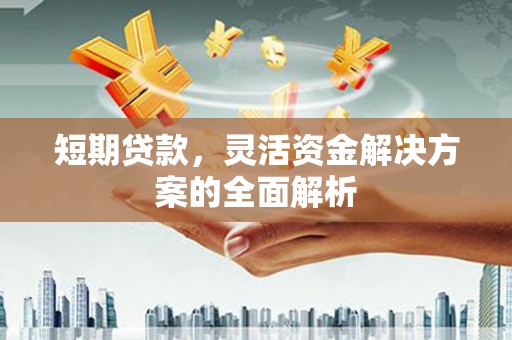 青神短期贷款，灵活资金解决方案的全面解析