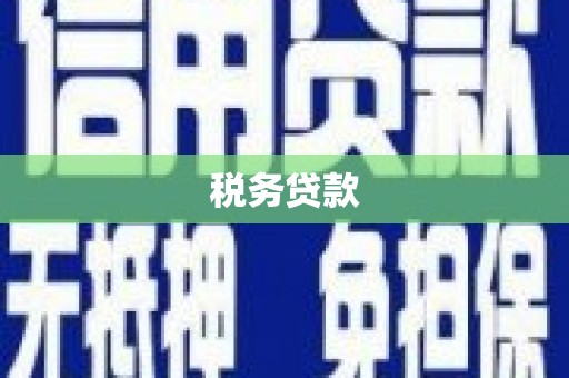 青神税务贷款