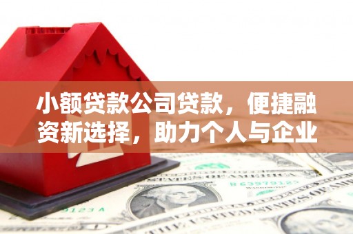 青神小额贷款公司贷款，便捷融资新选择，助力个人与企业成长