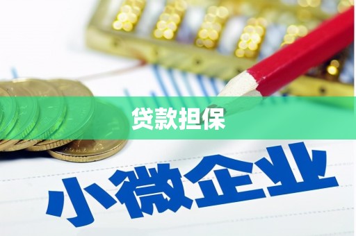 青神贷款担保