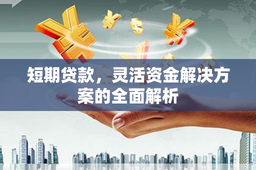 青神短期贷款，灵活资金解决方案的全面解析