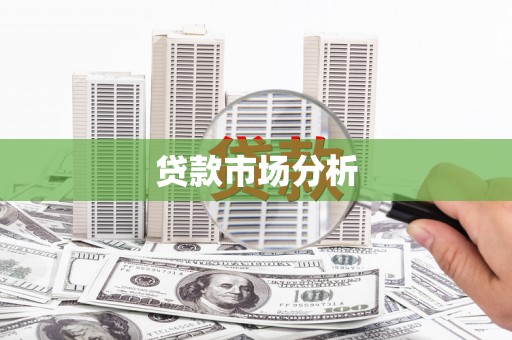 青神贷款市场分析