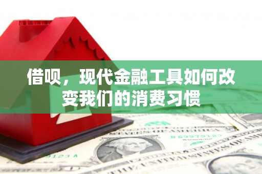 青神借呗，现代金融工具如何改变我们的消费习惯