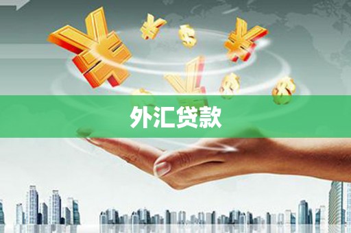 青神外汇贷款