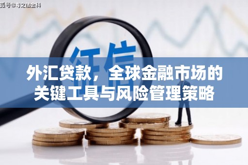 青神外汇贷款，全球金融市场的关键工具与风险管理策略