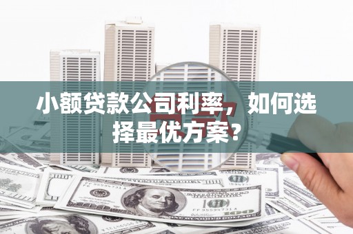 青神小额贷款公司利率，如何选择最优方案？