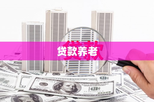 青神贷款养老