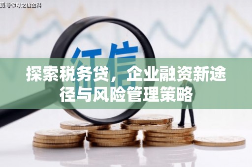 青神探索税务贷，企业融资新途径与风险管理策略