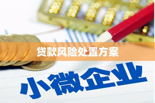 青神贷款风险处置方案