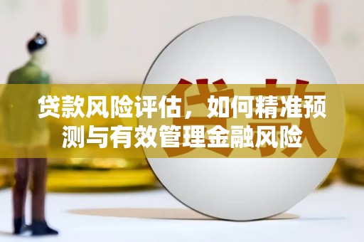 青神贷款风险评估，如何精准预测与有效管理金融风险
