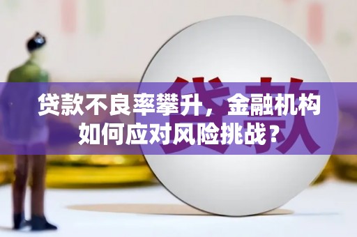 青神贷款不良率攀升，金融机构如何应对风险挑战？