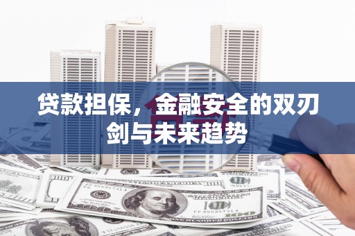 青神贷款担保，金融安全的双刃剑与未来趋势