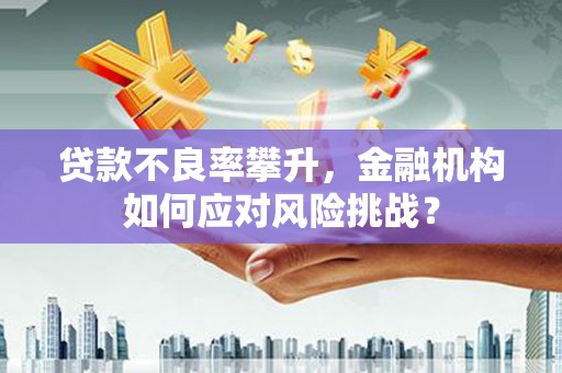 青神贷款不良率攀升，金融机构如何应对风险挑战？
