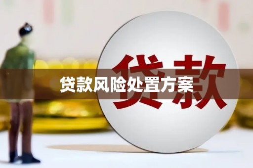 青神贷款风险处置方案