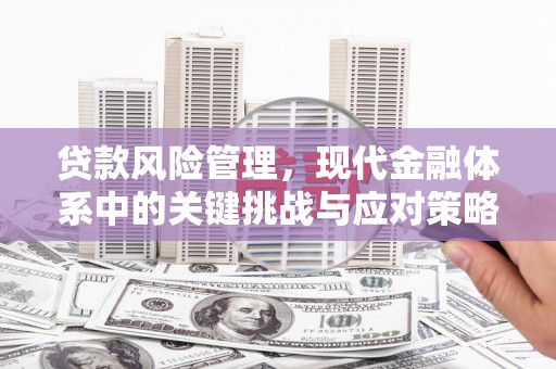青神贷款风险管理，现代金融体系中的关键挑战与应对策略
