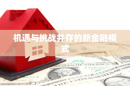 青神机遇与挑战并存的新金融模式
