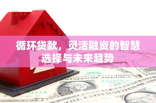 青神循环贷款，灵活融资的智慧选择与未来趋势