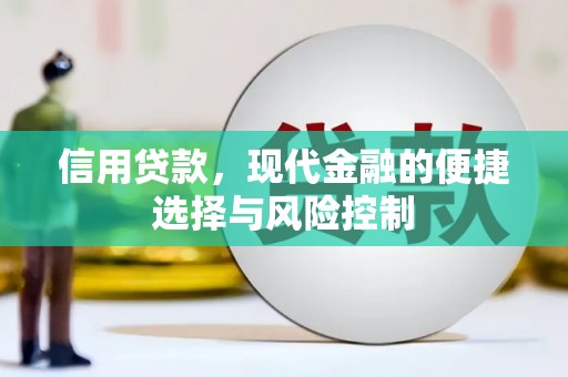 青神信用贷款，现代金融的便捷选择与风险控制