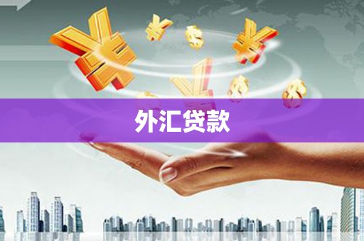 青神外汇贷款
