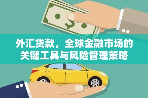 青神外汇贷款，全球金融市场的关键工具与风险管理策略