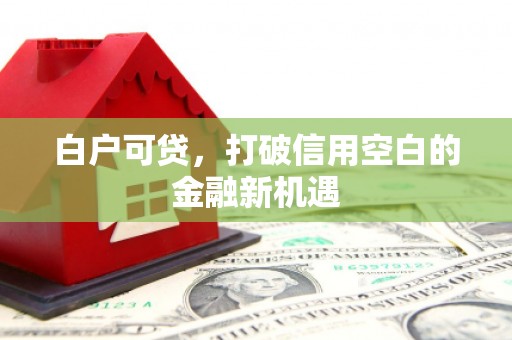 青神白户可贷，打破信用空白的金融新机遇