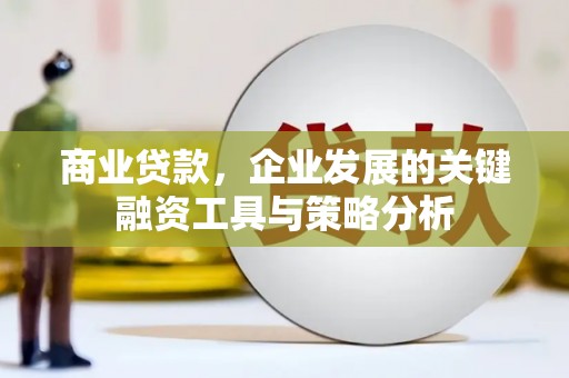 青神商业贷款，企业发展的关键融资工具与策略分析