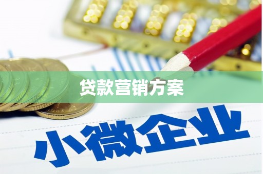 青神贷款营销方案