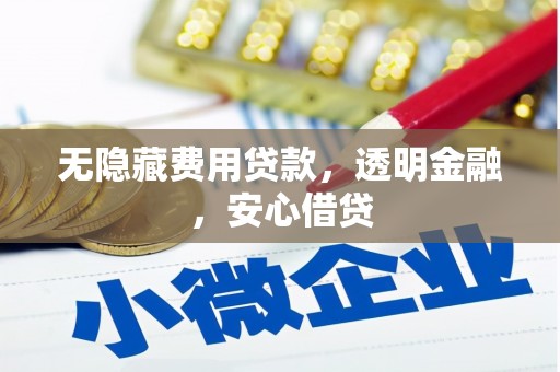 青神无隐藏费用贷款，透明金融，安心借贷