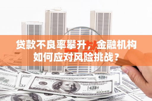 青神贷款不良率攀升，金融机构如何应对风险挑战？