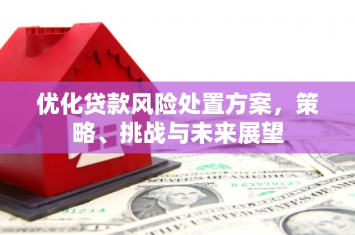 青神优化贷款风险处置方案，策略、挑战与未来展望