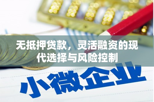 青神无抵押贷款，灵活融资的现代选择与风险控制