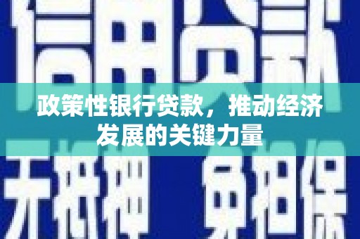 青神政策性银行贷款，推动经济发展的关键力量