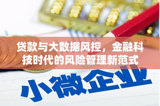 青神贷款与大数据风控，金融科技时代的风险管理新范式