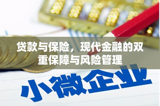 青神贷款与保险，现代金融的双重保障与风险管理