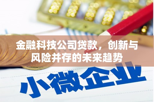青神金融科技公司贷款，创新与风险并存的未来趋势